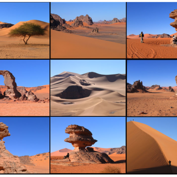 Exposition sur le Sahara Algérien